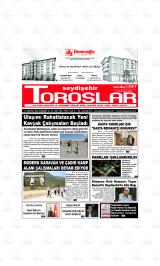 SEYDİŞEHİR TOROSLAR