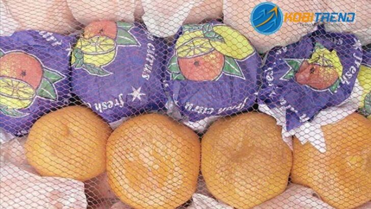 Narenciye ihracatından ekonomiye 340 milyon dolarlık katkı