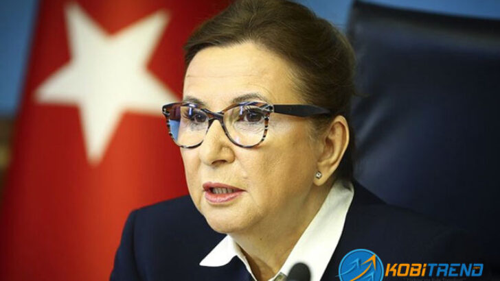 Ticaret Bakanlığı uygulamasına övgü