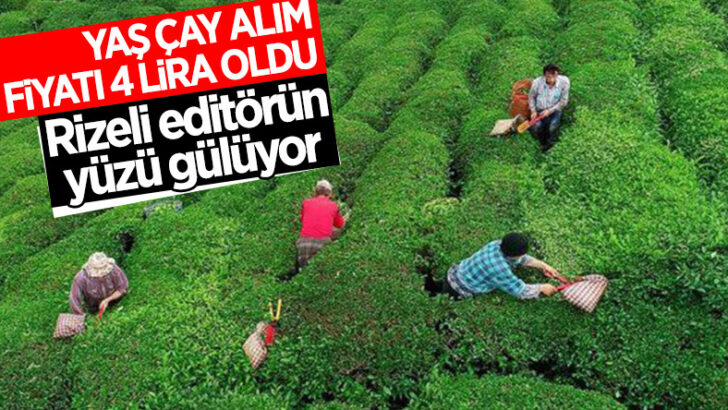 Cumhurbaşkanı Erdoğan yaş çay alım fiyatını açıkladı
