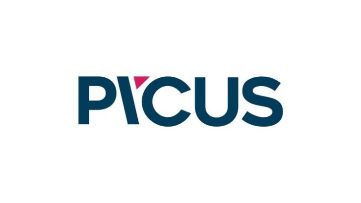 Türk Siber Güvenlik Şirketi Picus, 24 Milyon Dolar Yatırım Aldı